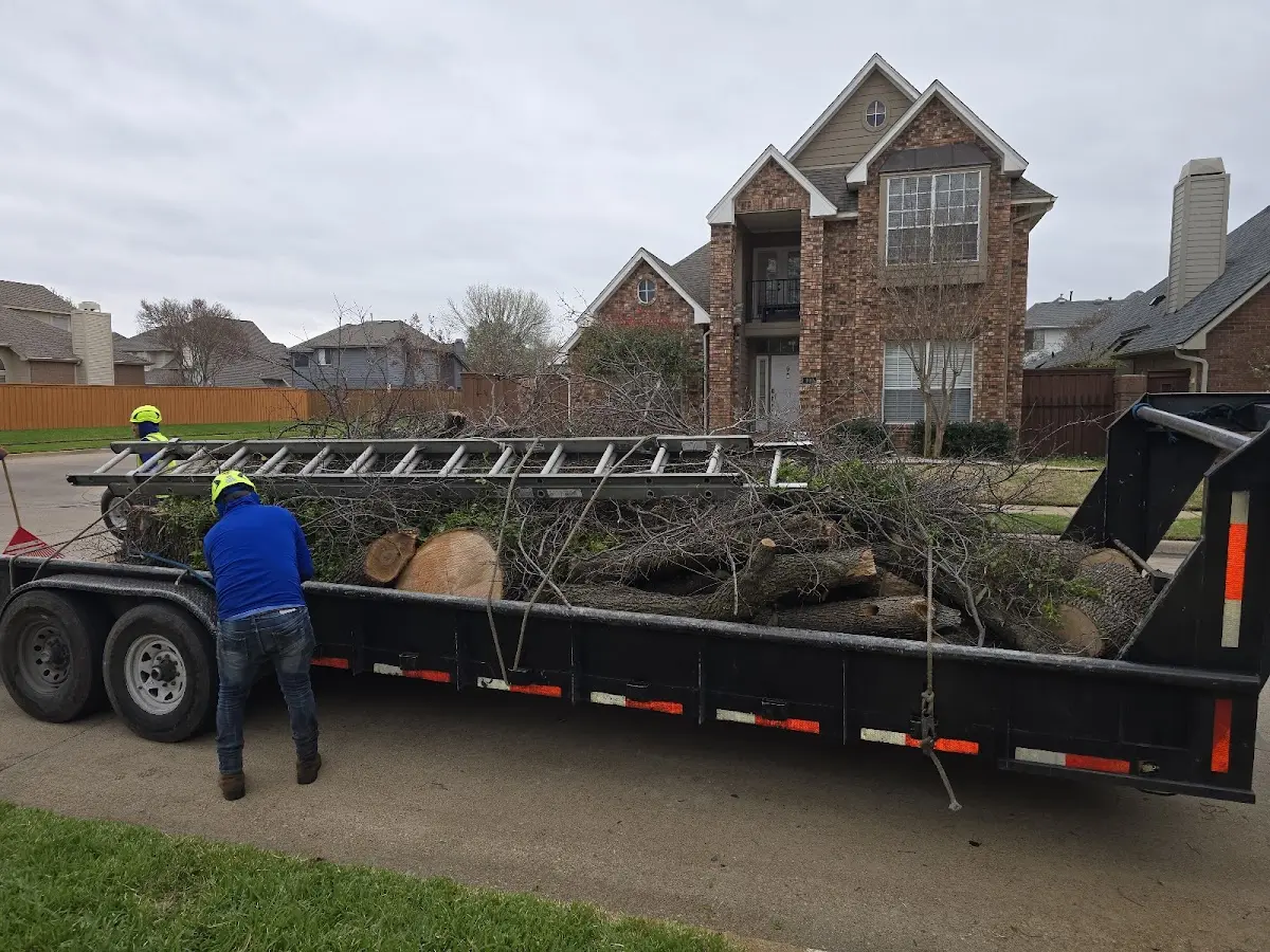 Expert Lot Clearing with proper safety equipment in Marty